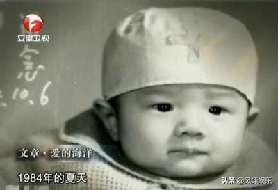 婚姻的惨败，教会了文章、王大治、凌潇肃们如何做人