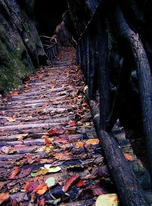 西泰山的特点是什么,西泰山为啥叫西泰山