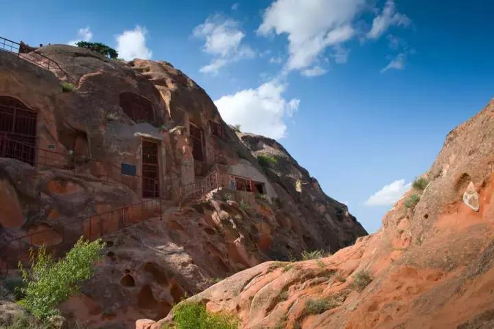 谁说冬天只有严寒,谁说大西北的荒漠寸草不生