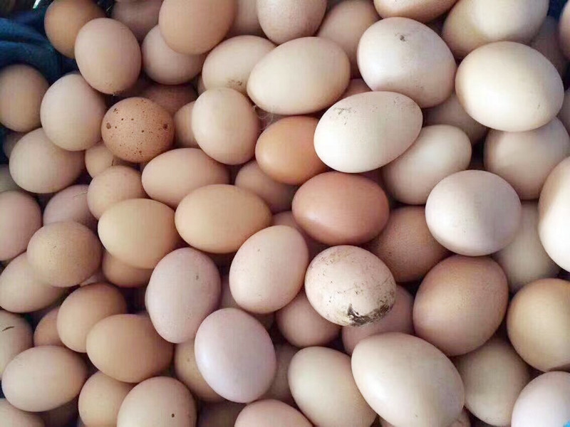 鸡蛋保存方法可直接放冰箱保鲜吗,鸡蛋可以放冰箱冷藏保存多长时间