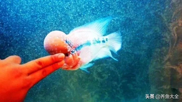 用烟灰缸砸小三,有人用烟灰缸砸老婆