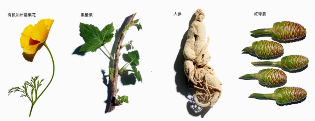 冻干祛痘面膜推荐,适合祛红痘印的面膜推荐