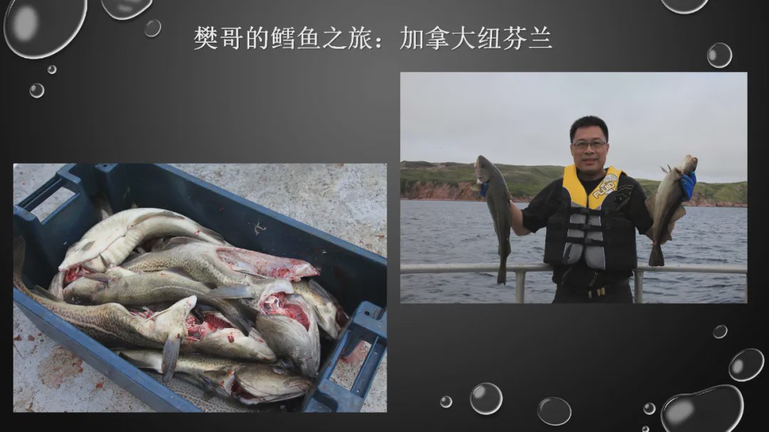 樊哥说中国美食,樊哥讲冰鲜生鲜