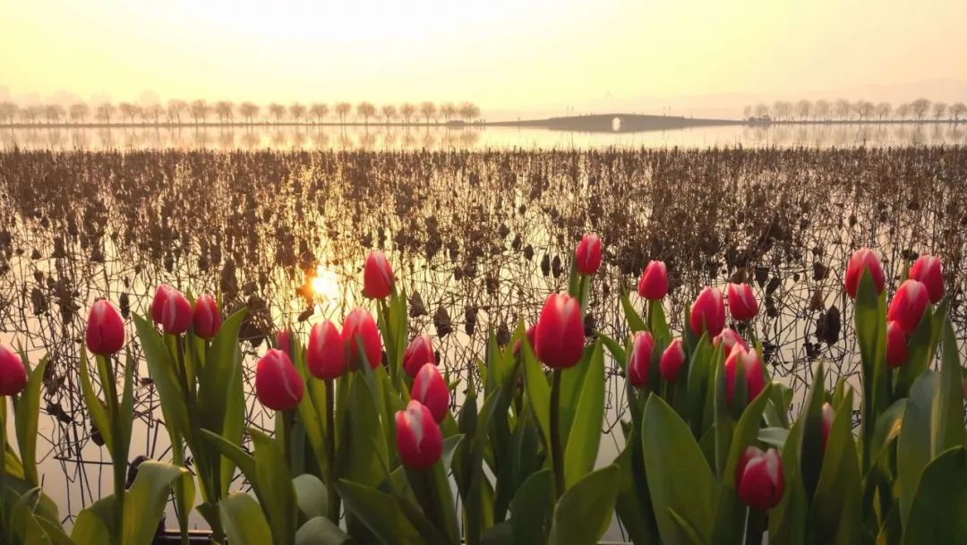 入冬来最冷当三九遇上强冷空气,近20个城市气温将创新低冬至天气