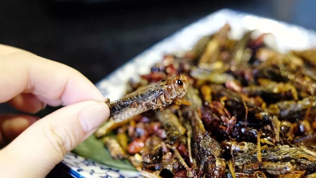 长沙十大变态美食店,长沙十大奇葩美食