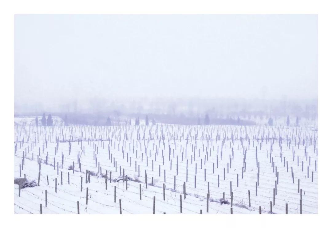 怡园酒庄哪款好,怡园酒庄2011