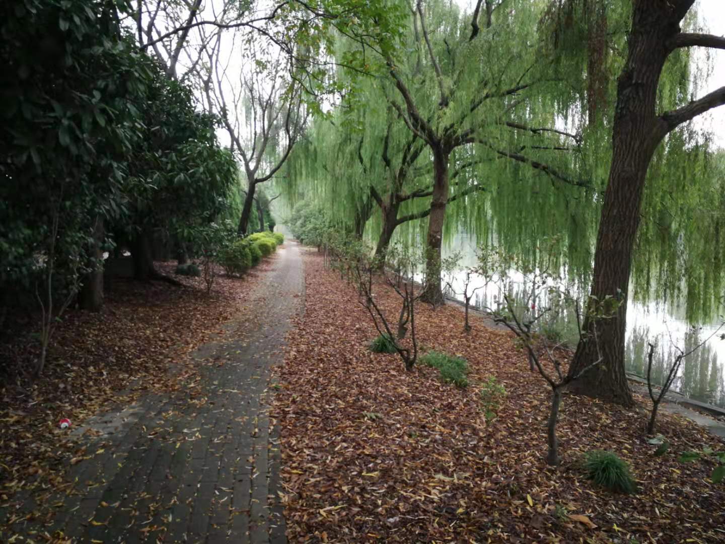 数字赋能让农业执法更智慧,农业执法创新做法