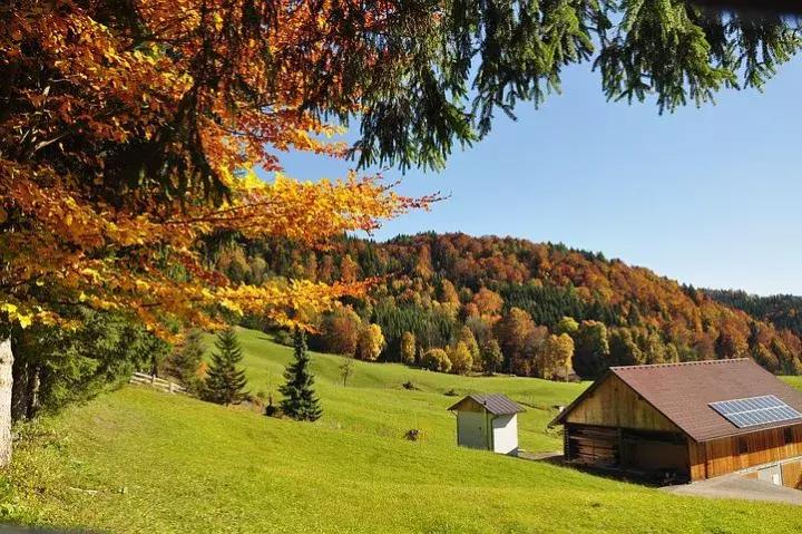 九旬清华名教授夫人断食结束生命，感慨颇多令人无眠