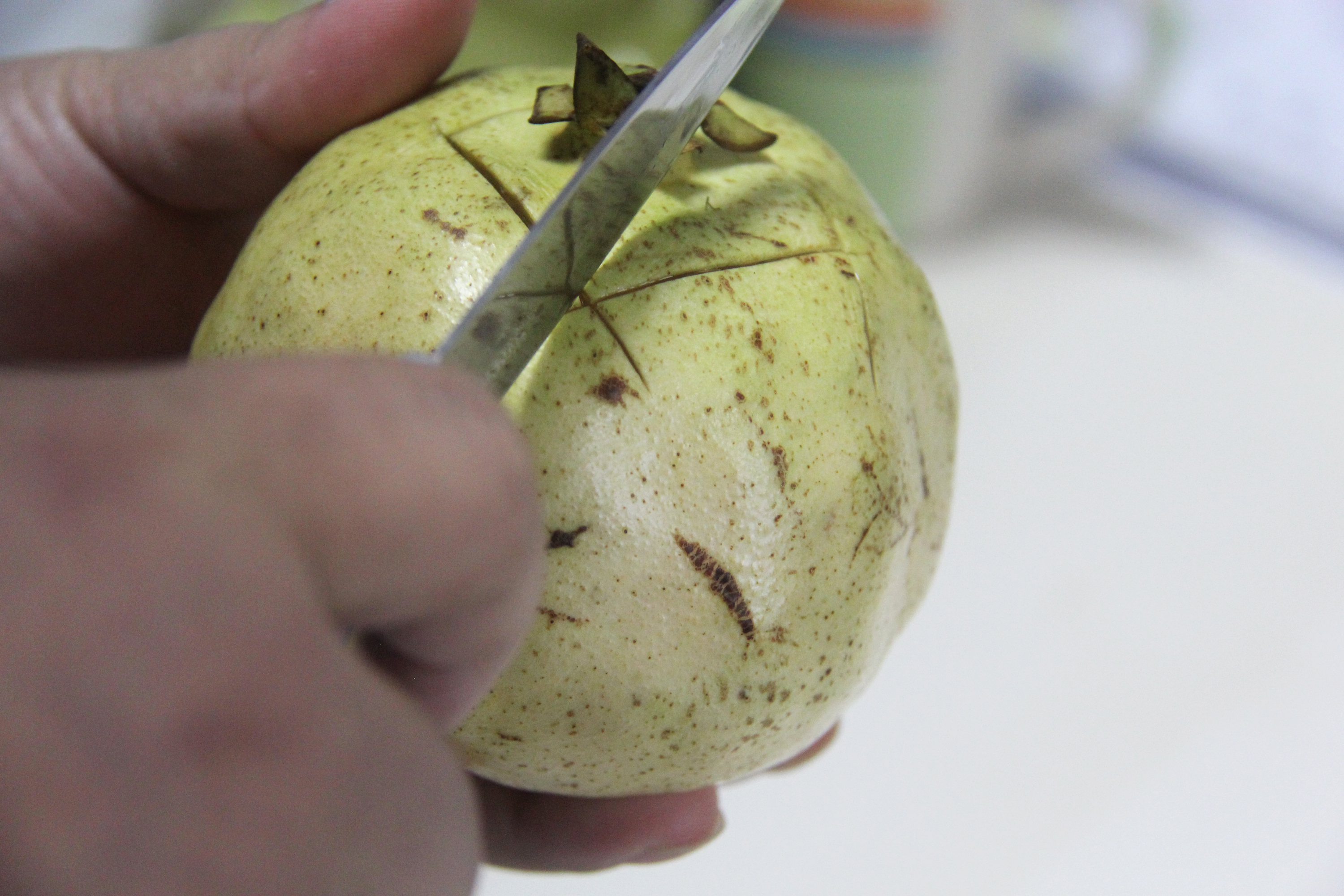 白花玉石籽石榴,玉石籽石榴