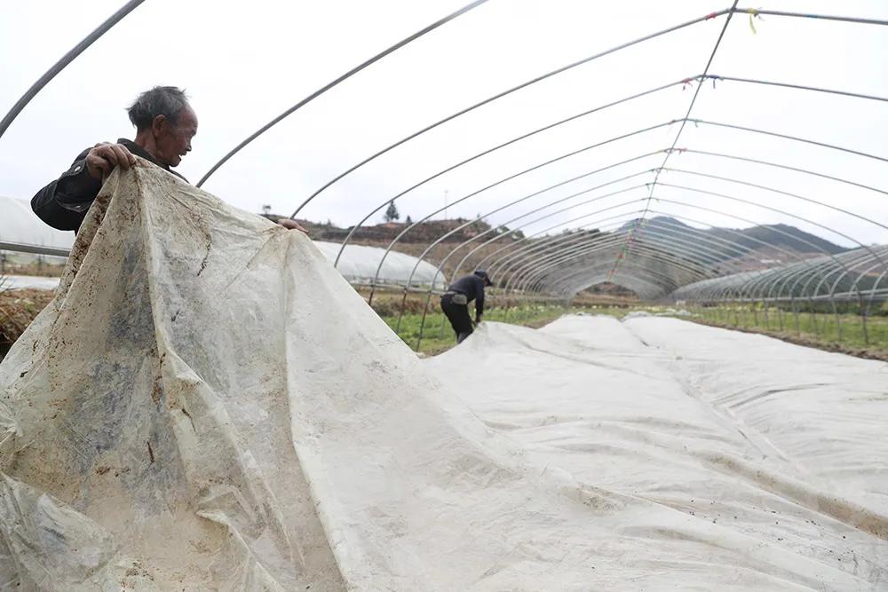 温州永嘉海拔最高的小村落，有座百年农场！很多人没听说过