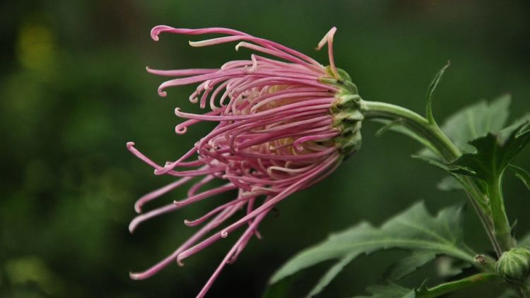 深秋的私语,美文美图经典欣赏