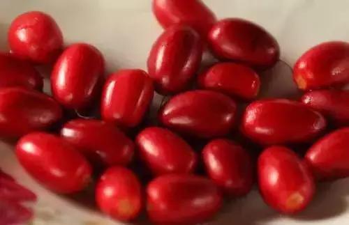 世界上罕见的十大水果,世界上罕见水果10个品种