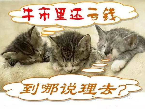 坤鹏论：牛市为什么更容易巨亏？