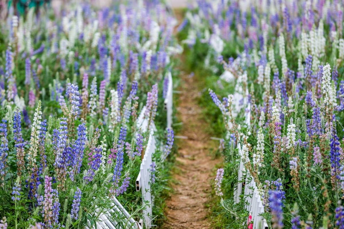祖传家训对联,30副民间家训对联