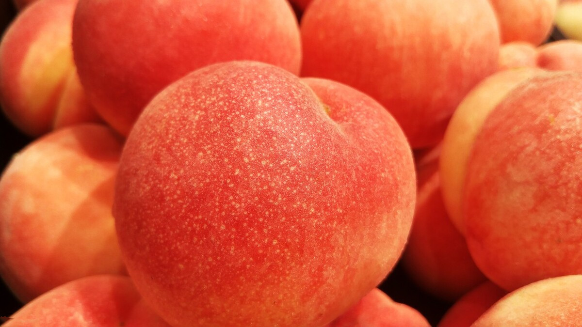 公桃和母桃子的区别 (桃子是硬桃好还是软桃甜好)