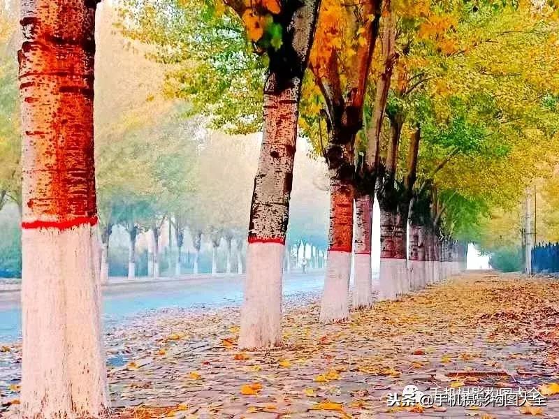 手机摄影怎么拍出好看的景色,手机如何拍出低调的摄影照片