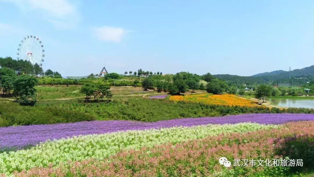 武汉国庆旅游攻略文案,武汉文旅国庆