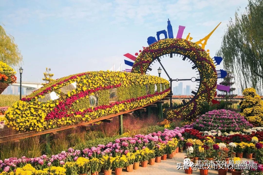 花点时间武汉东湖樱花园,武汉花点时间