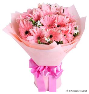 520简短浪漫花语是什么,520朵玫瑰的浪漫花语