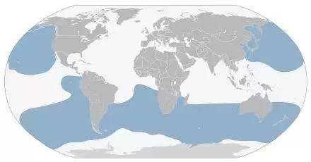 这个新西兰小岛，隐藏的惊世秘密