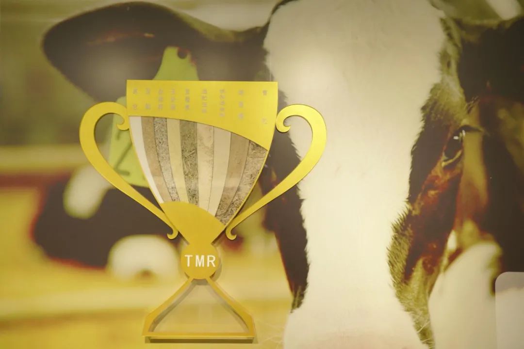 一头奶牛的自述,一头奶牛全年平均产多少斤奶