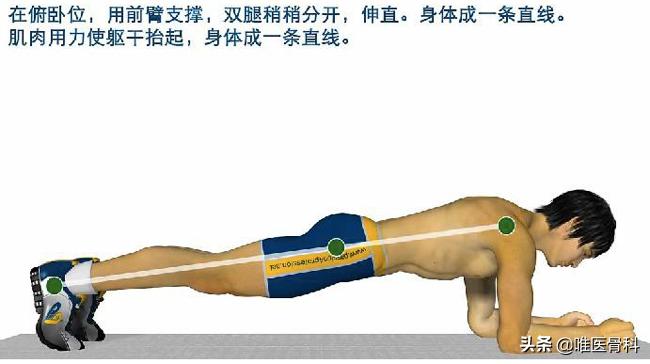 平板支撑腰总是塌下去怎么办,平板支撑能让腰部紧致吗