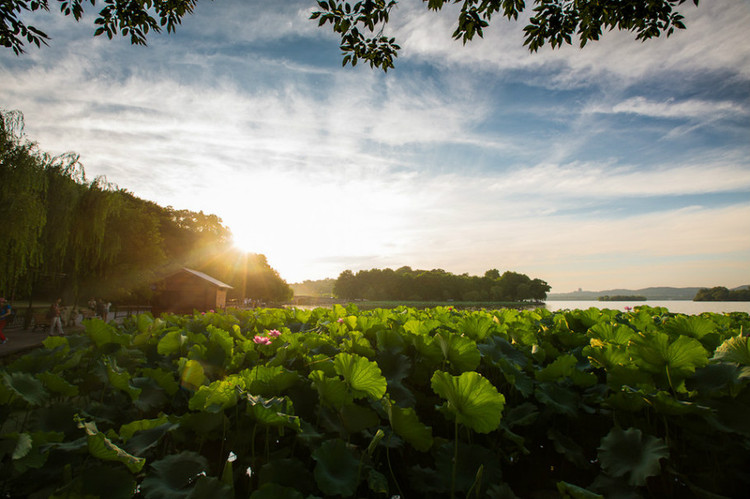 风光如画景色宜人,景色如画环境怡人