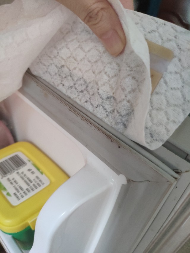 冰箱密封条发霉,冰箱密封条发霉解决方法