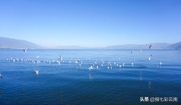 云南旅游三天最佳攻略自由行,去云南玩最省钱的旅游路线攻略