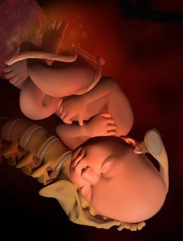 孕妇34周到40周的状况,孕39周到孕40周胎儿指标