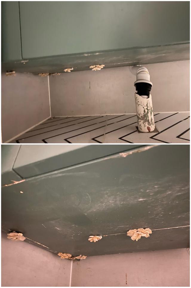 越来越多人去风格化设计,日式去家务化设计