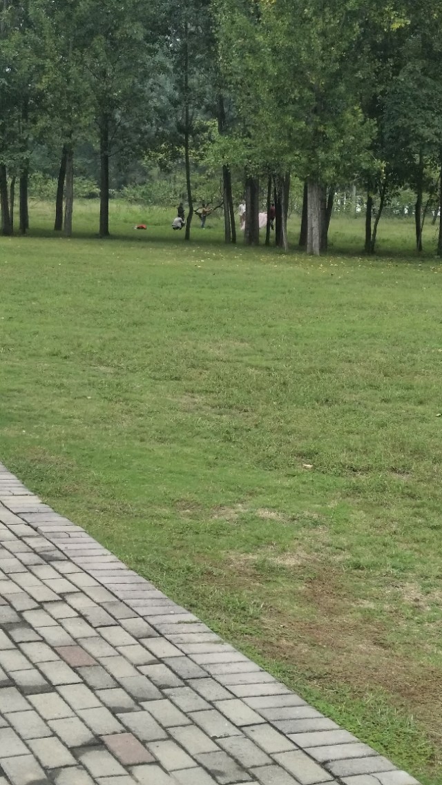 南阳李宁体育园的健身房,李宁体育园南阳