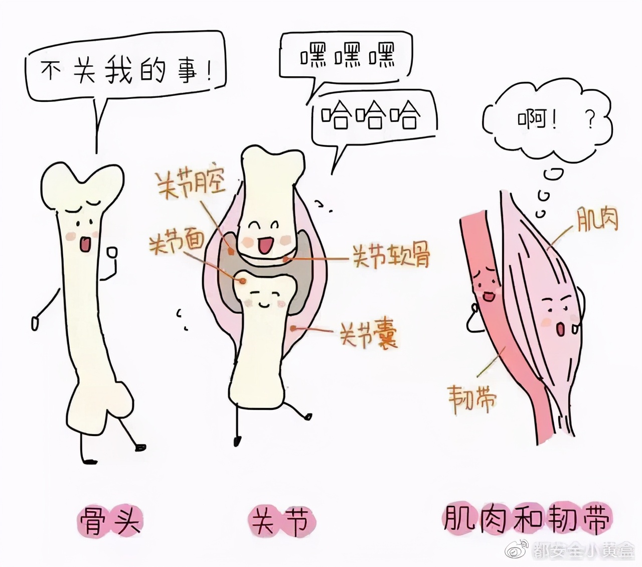 都安全小黄盒|生二胎，你的盆底准备好了吗？