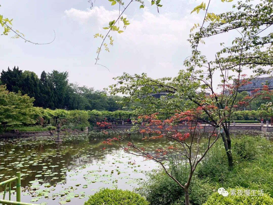 慢生活惬意悠闲,悠闲惬意上海