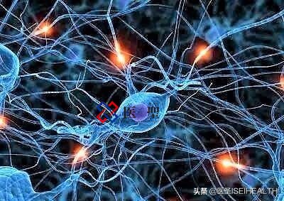 干细胞疗法再生医学,干细胞再生治疗骨折