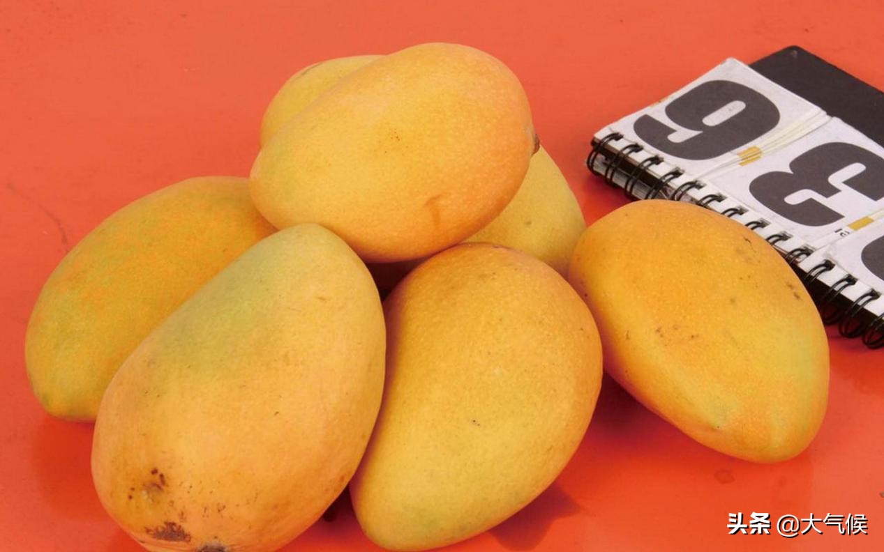 想吃芒果但是又买不到怎么办,想吃芒果又没有该怎么办