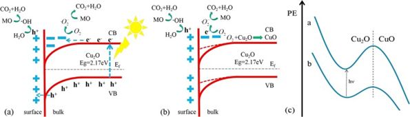 《Chem.Phys.Lett.》氧化亚铜在无光/可见光条件下的催化性能