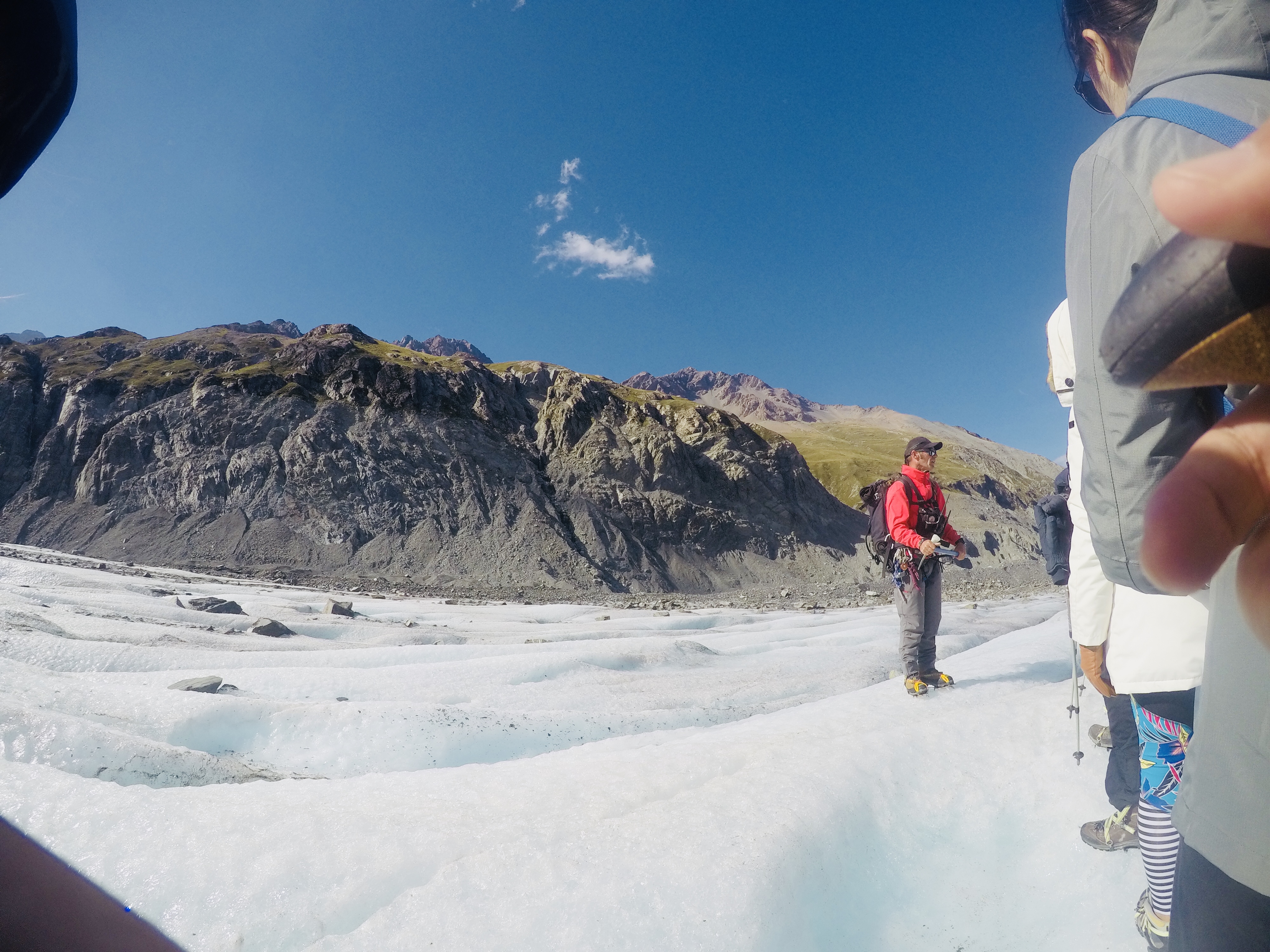 新西兰旅游必备大牌礼物,新西兰旅行攻略完整详细版