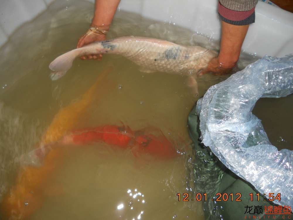 开渔场赚钱吗,开渔场需要多少资金