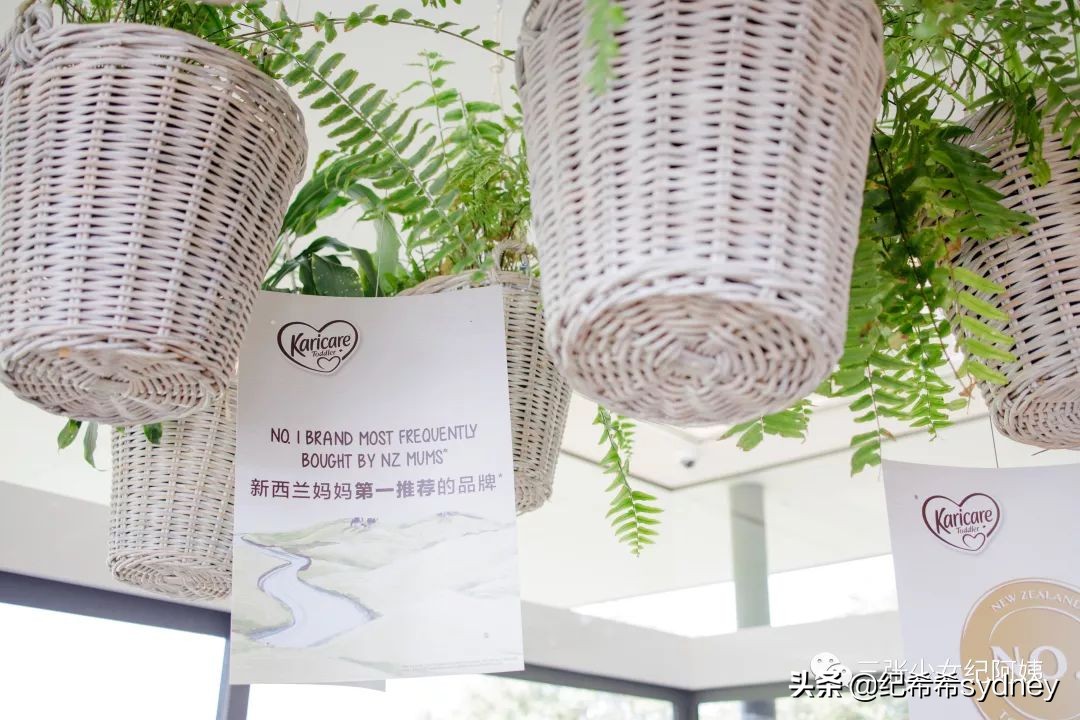 可瑞康原装进口奶粉,可瑞康奶粉澳洲价格