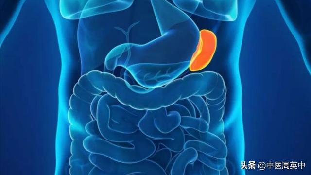 归脾丸和补中益气丸哪个补脾更好,补中益气丸和归脾丸哪个对脾好