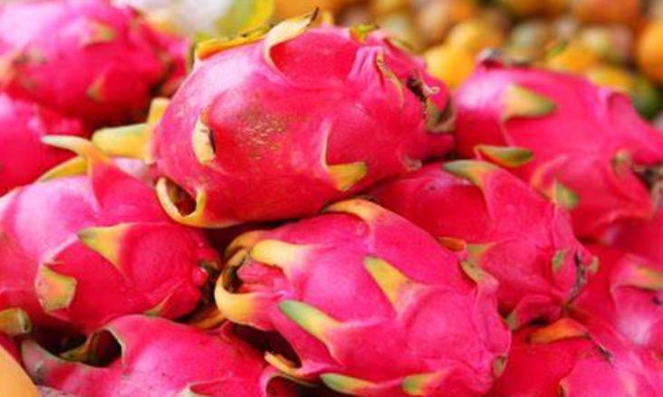 看了很多书却记不住,看了那么多书为什么还是不好