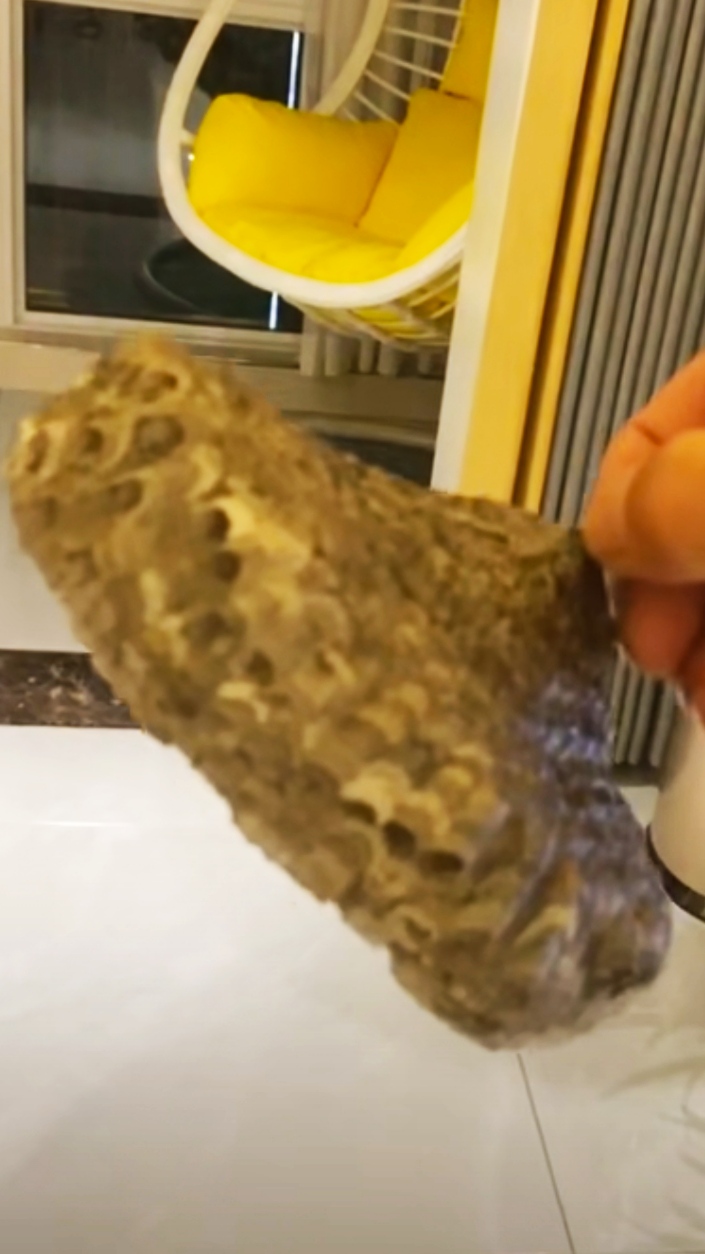 农村室内出现马蜂窝不要怕,3种方法轻松解决,注意安全操作