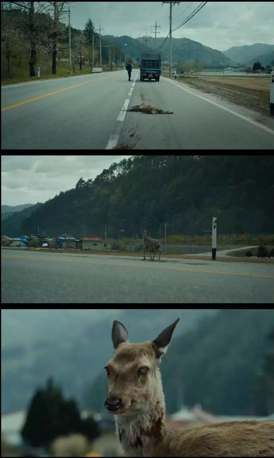 近几年最好看的丧尸片釜山行,30部顶级的丧尸片釜山行