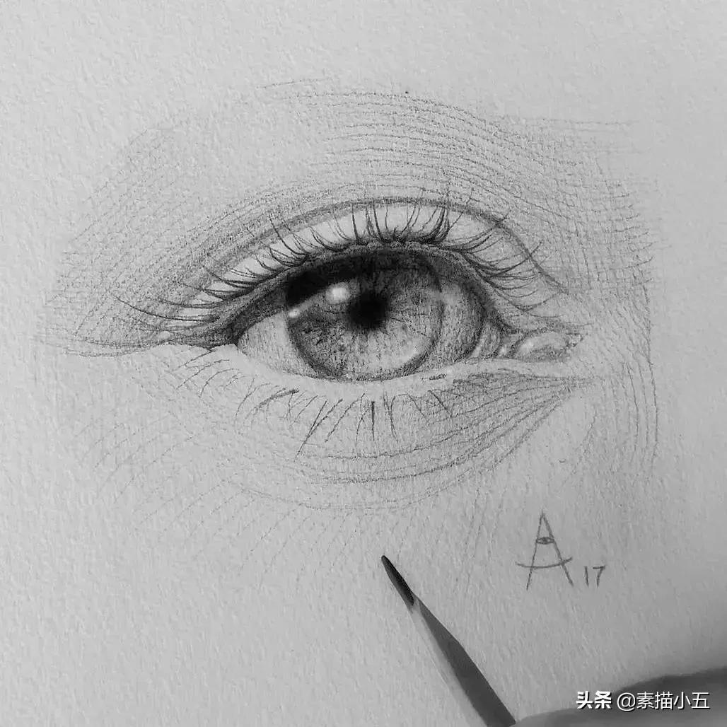 他画的素描无与伦比,他画的画栩栩如生让人拍案叫绝