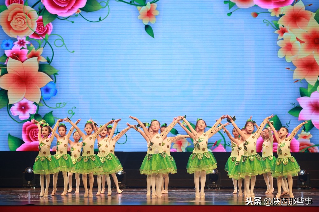 小天鹅艺术团童心向党,陕西省小天鹅艺术团点亮中国梦