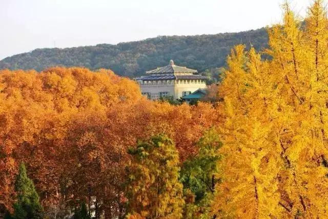 简单介绍一下关于武汉,你真的了解武汉吗