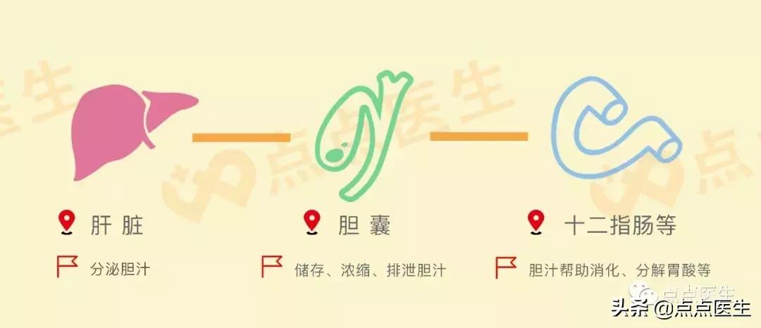 胆囊炎胆结石饮食要注意些什么,胆结石胆囊炎饮食食谱大全