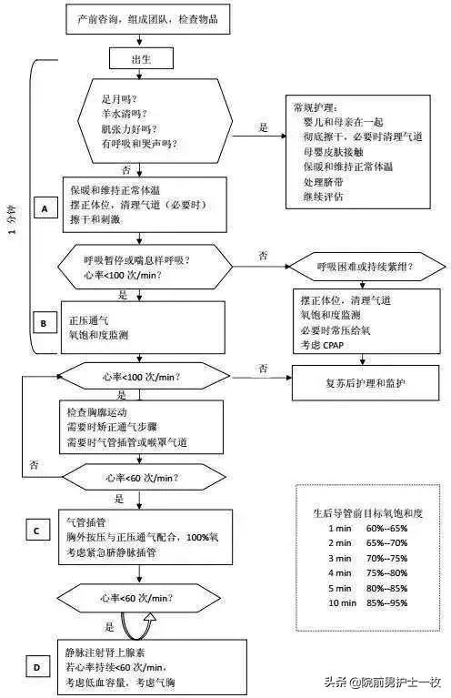 急诊急救工作流程图,急诊急救操作视频