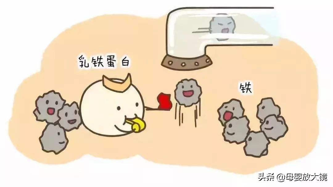 婴儿奶粉羊奶粉口碑最好的前十名,价格最便宜的羊奶粉品牌